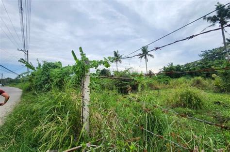 lapag vendo|Land for Sale in Babag, Cebu .